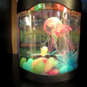 Aquaficial Jellyfish Tank Pink Tank - NO Background 